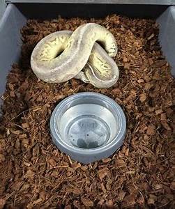 Coco coir husk chips